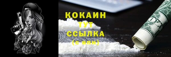 гашик Янаул